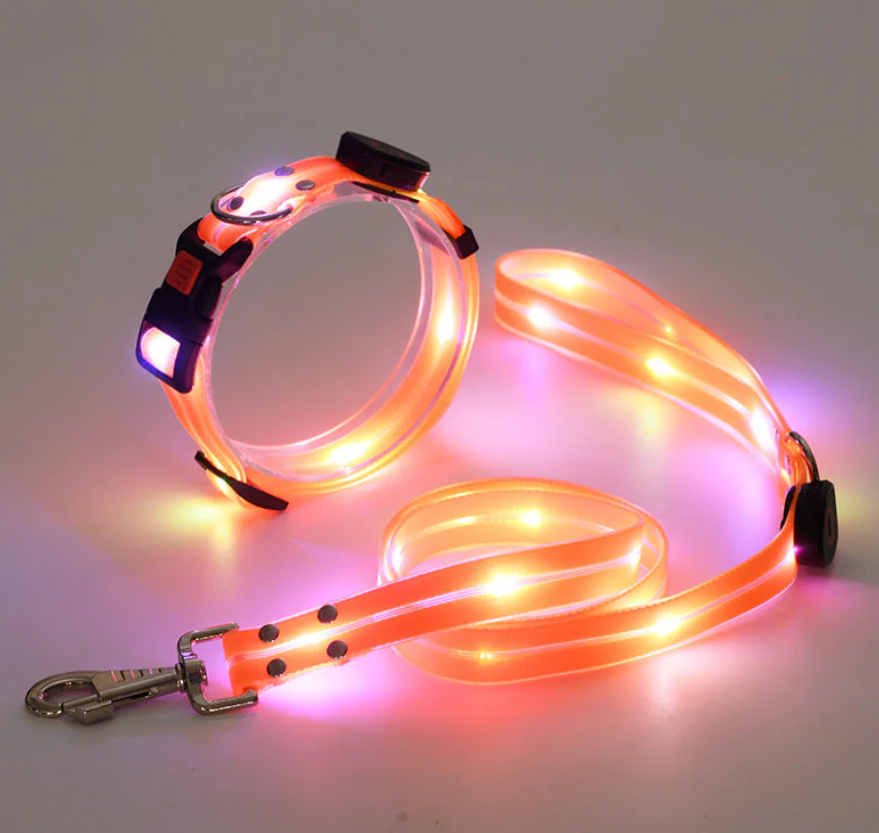 LumiPaws™ Night Collar