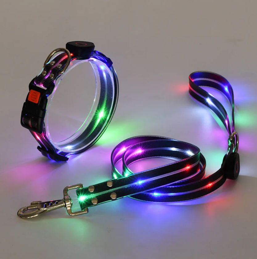LumiPaws™ Night Collar
