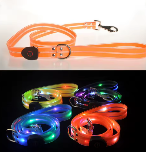LumiPaws™ Night Collar