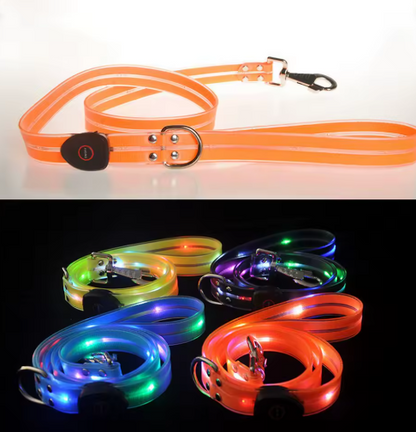 LumiPaws™ Night Collar
